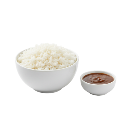 Classic Rice Bowl With Gravy